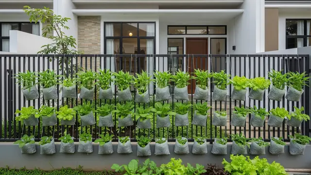 Ide Kebun Sayur Pakai Polybag Gantung di Pagar Rumah