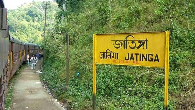 7 Fenomena Alam Langka yang Buktikan Bumi adalah Planet Penuh Misteri