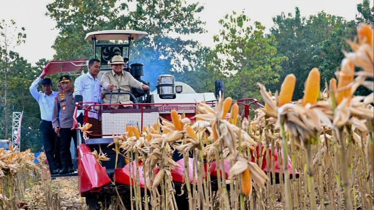 FOTO: Prabowo Panen Jagung dan Luncurkan Operasional Ketahanan Pangan