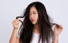 Cara Rambut Mengembang Jadi Lurus dan Mudah Diatur, Bye Rambut Megar Seperti Singa!