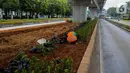 Petugas Sudin Kehutanan Jakarta Selatan melakukan penanaman pohon melati Jepang di bawah jalur MRT Jalan Sisingamangaraja, Jakarta, Kamis (31/10/2019). Penanaman pohon melati Jepang di bawah jalur MRT tersebut untuk penghijauan dan mempercantik tata ruang kota. (Liputan6.com/Faizal Fanani)