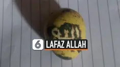 TELUR PUYUH BERLAFAZ ALLAH HEBOHKAN WARGA KALSEL