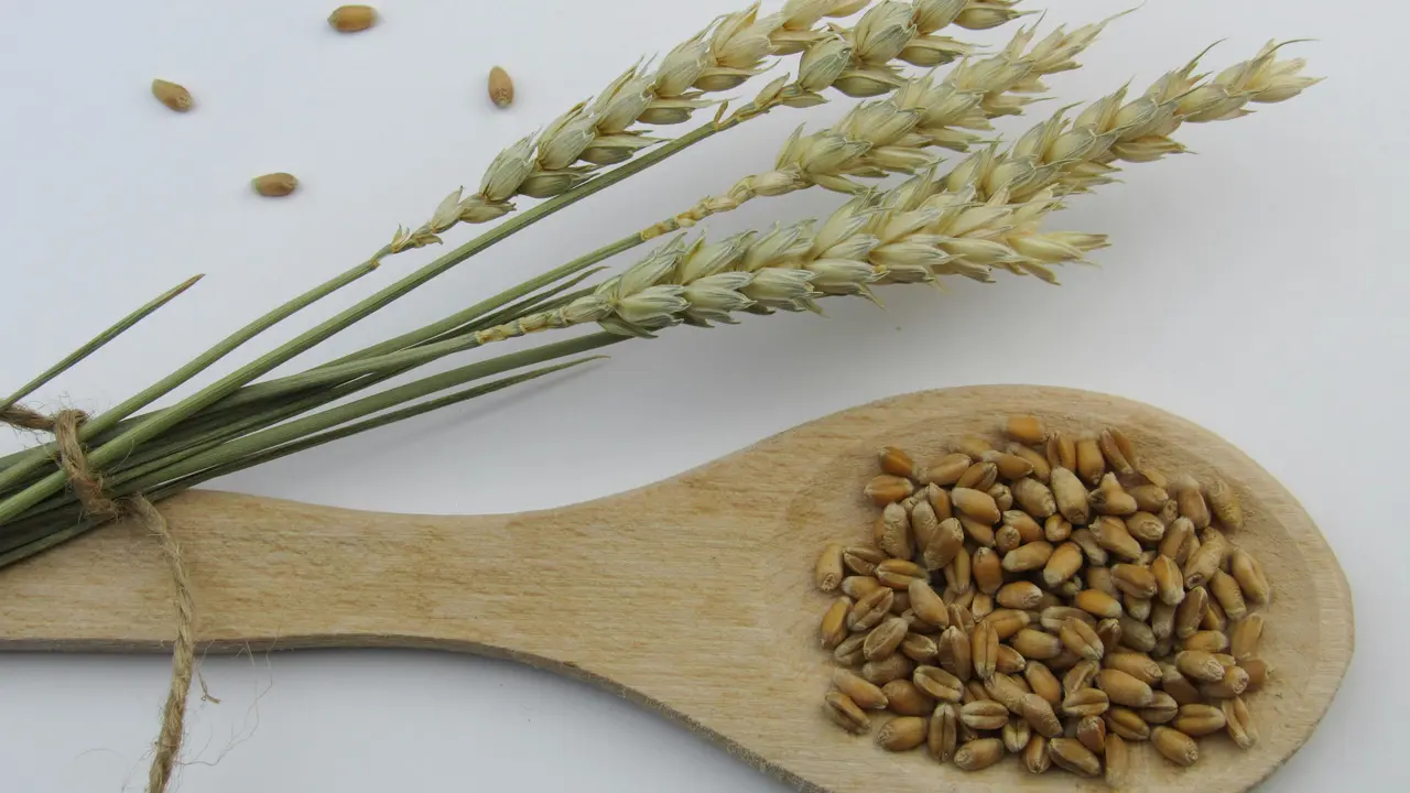 Mengenal Whole Grain, Jenis Karbohidrat yang Dapat Bantu Jaga Energi Tetap Stabil