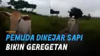 Momen kocak dialami oleh dua orang pemuda saat ngeledek sapi di lapangan.