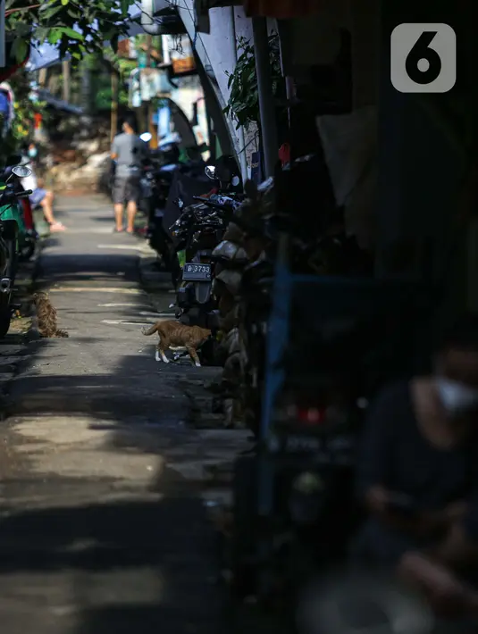 Warga beraktivitas di zona merah COVID-19 Kelurahan Petogogan RT 006 RW 003, Jakarta, Selasa (22/6/2021). Pemprov DKI menetapkan 10 RT sebagai zona merah yang tersebar di Jakarta Pusat satu RT, Jakarta Timur tiga RT, Jakarta Barat tiga RT dan Jakarta Selatan tiga RT. (Liputan6.com/Faizal Fanani)