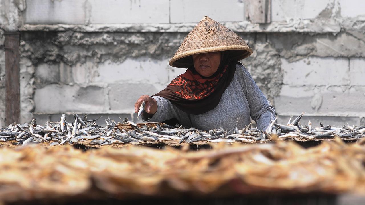 Produksi Ikan Asin Tidak Berpengaruh dengan cuaca