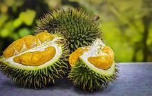 Tak Banyak Orang Tahu, ini Manfaat Durian buat Kesehatan