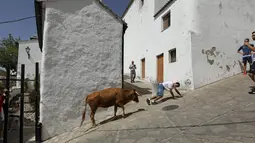 Seekor sapi berjalan mendaki di sebuah jalan di Pueblos Blancos, Spanyol Selatan, 16 September 2016. Pueblos Blancos atau Desa Putih merupakan kota yang terdiri dari sekumpulan desa dengan seluruh bangunan bercat putih. (REUTERS/Marcelo del Pozo)