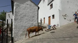 Seekor sapi berjalan mendaki di sebuah jalan di Pueblos Blancos, Spanyol Selatan, 16 September 2016. Pueblos Blancos atau Desa Putih merupakan kota yang terdiri dari sekumpulan desa dengan seluruh bangunan bercat putih. (REUTERS/Marcelo del Pozo)