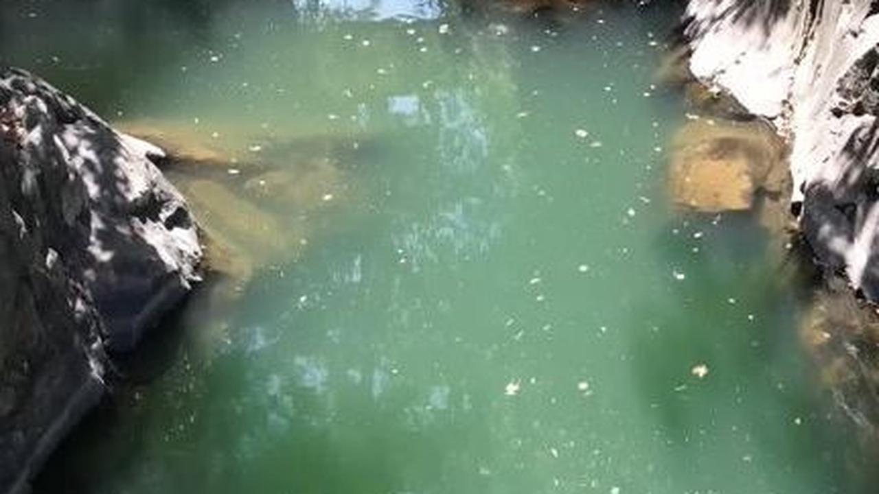 Fakta-Fakta "Sungai Setan" di Garut, Ada di Bawah Jembatan dan Punya Pemandangan Mengagumkan