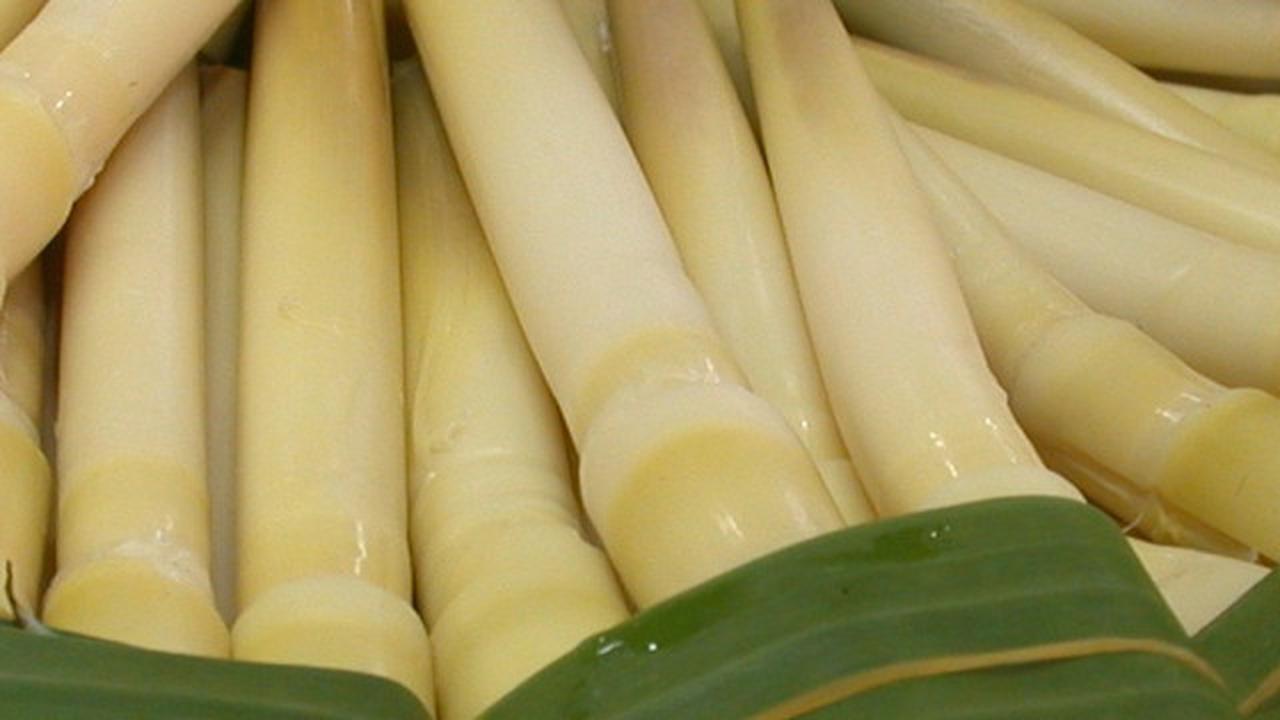 Rebung Asam Urat: Fakta, Mitos, dan Manfaat Kesehatan