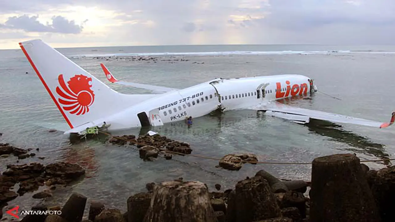 lion-air130414c.jpg
