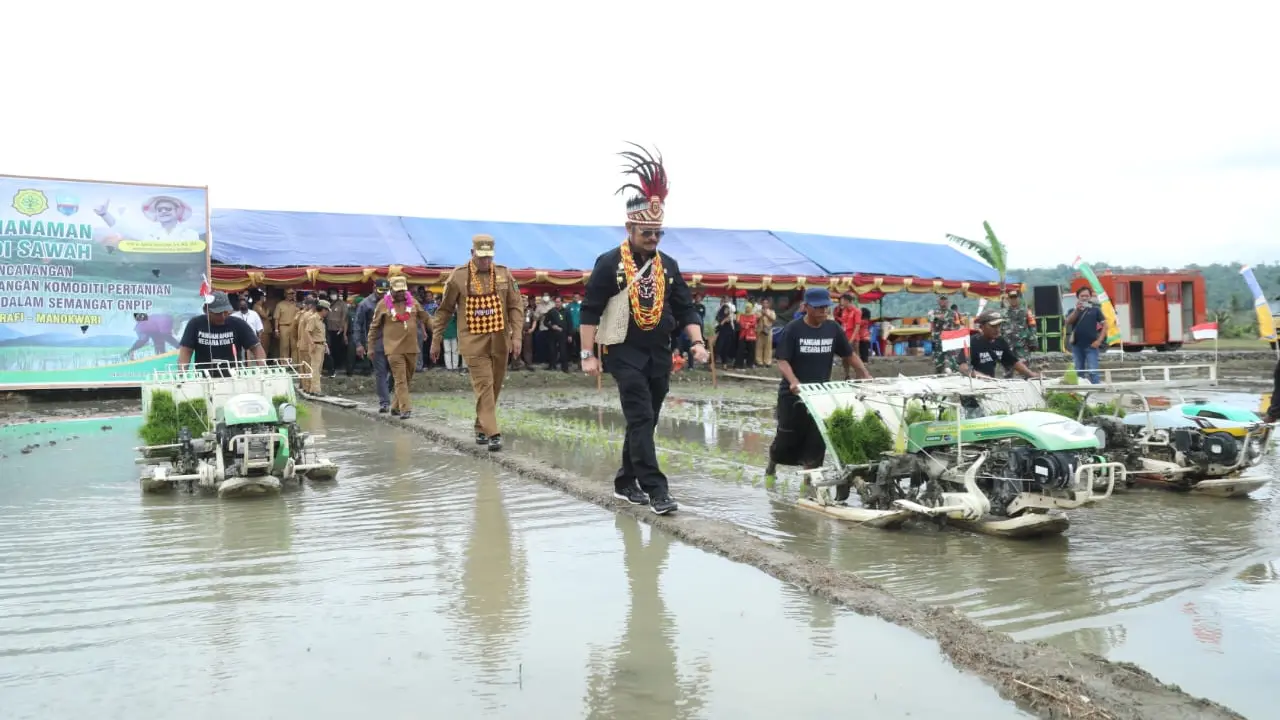 Mentan SYL Tanam Padi di Papua, Dukung Persiapan Ketahanan Pangan Papua