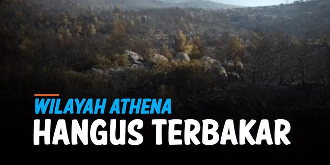 VIDEO: Penampakan Udara Hutan di Athena Hangus Terbakar