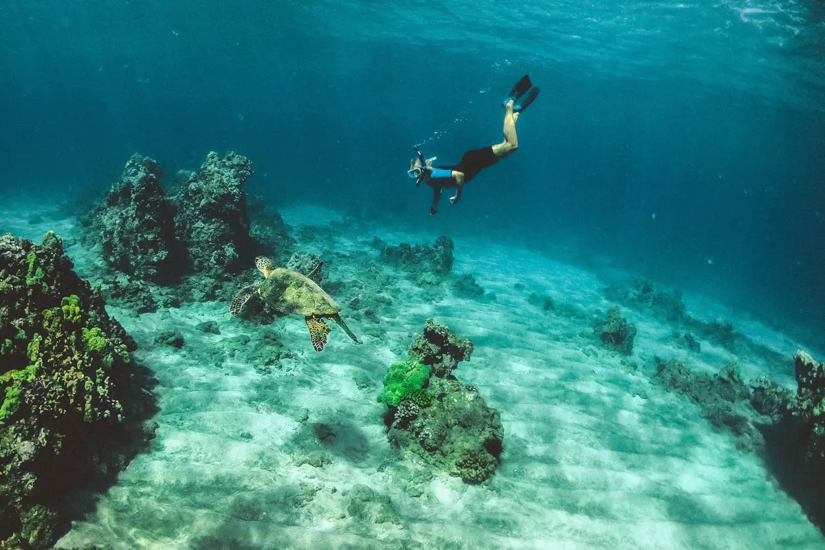 Ilustrasi scuba diving. Photo by Subtle Cinematics on Unsplash