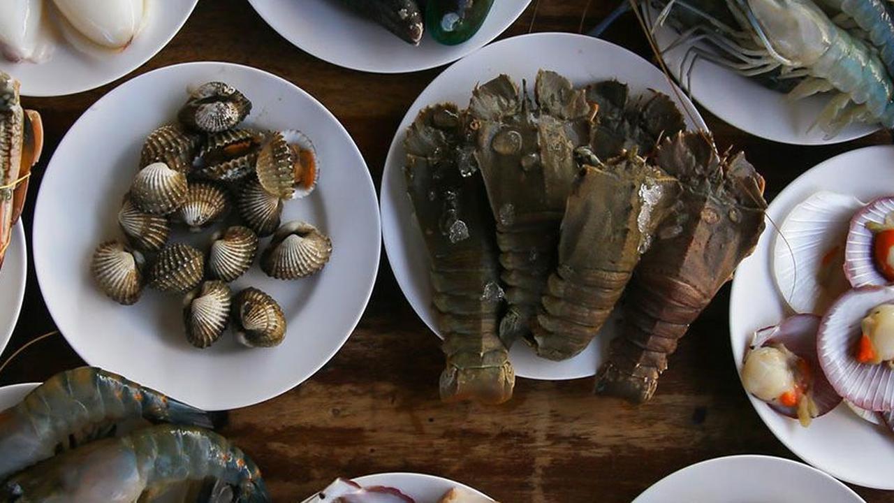 Nikmati Seafood Tanpa Takut Kolesterol, Ini Daftar Pilihan Menu Laut yang Aman dan Lezat
