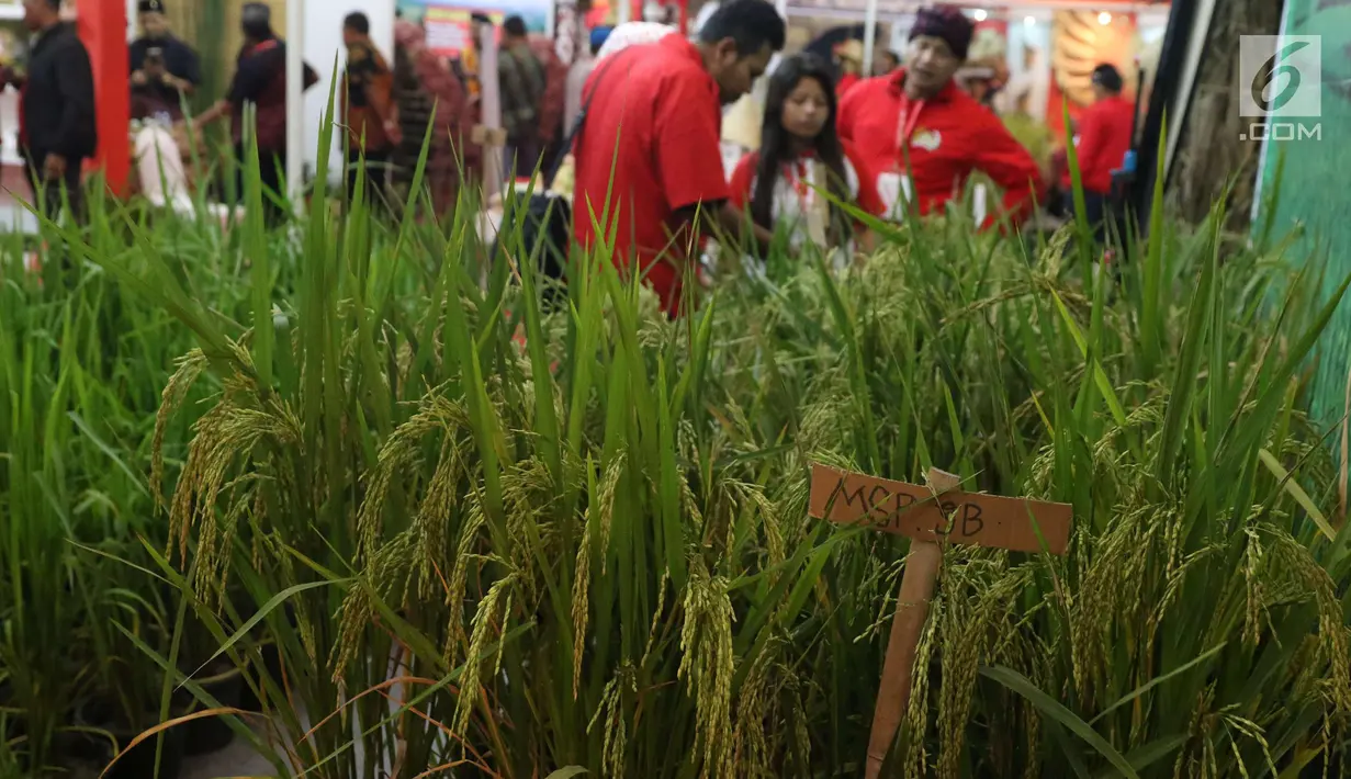 Sejumlah peserta Rakornas PDI Perjuangan melihat pameran di ICE BSD, Tangerang Selatan, Sabtu (16/12). Pameran tersebut menyuguhkan prodak pertanian perternakan dan UMKM prodak lokal. (Liputan6.com/Angga Yuniar)