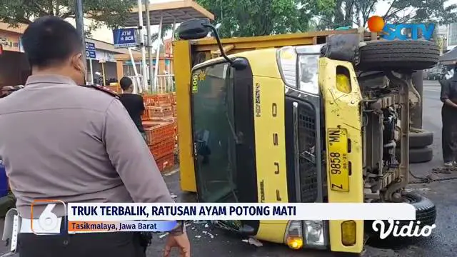 Nahas! Sebuah truk yang mengangkut ayam potong, terbalik dan melintang di tengah jalan di Kota Tasikmalaya. Akibatnya, kemacetan pun tak terhindarkan. Ratusan ekor ayam yang dibawa juga mati.