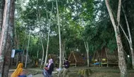 Pemanfaatan Hutan Berkelanjutan di Kaltim Hasilkan Nilai Ekonomi