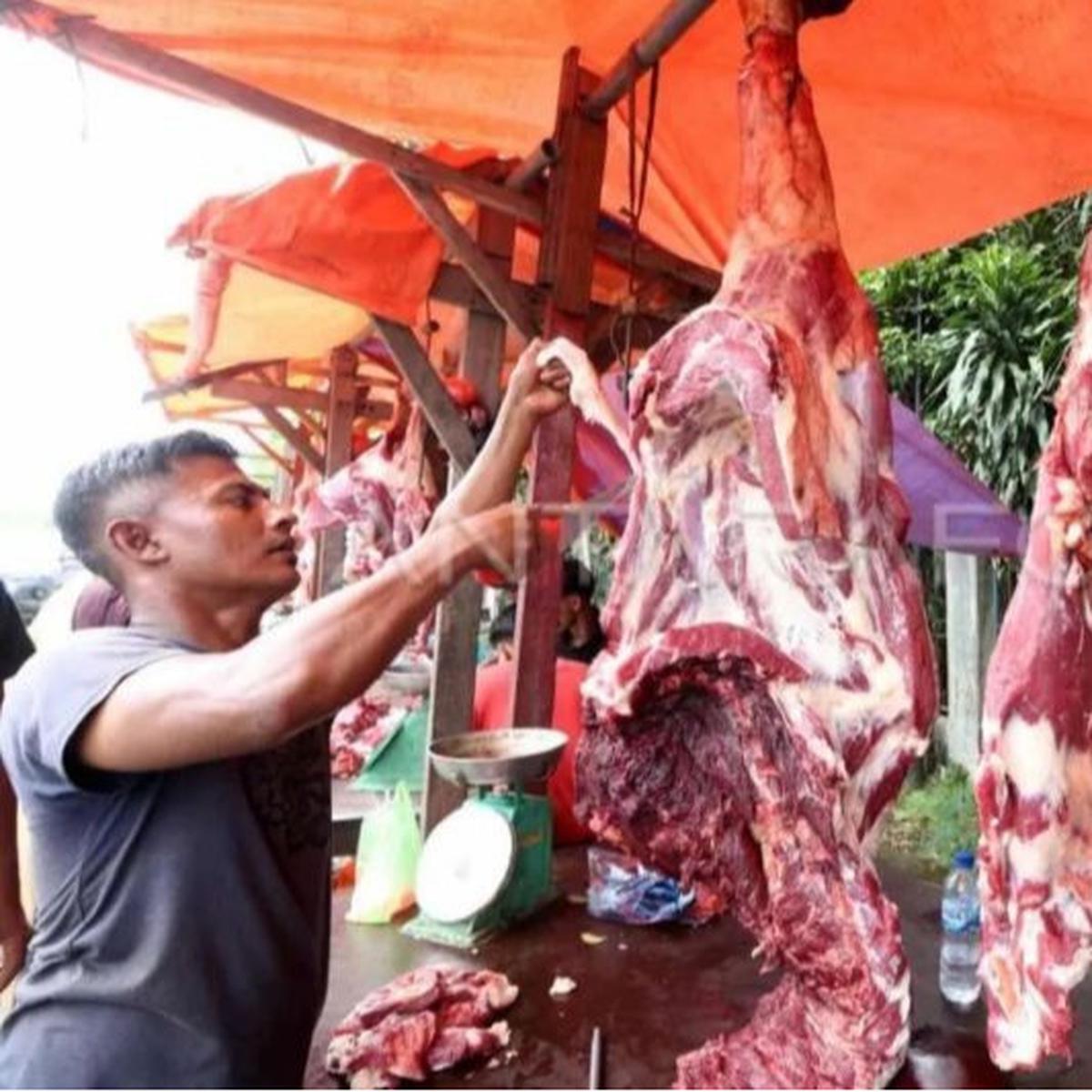 Penghapusan Kuota Impor: Solusi Percepat Pemenuhan Kebutuhan Daging Sapi di Indonesia?