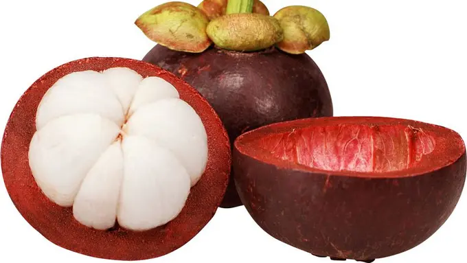 Buah Manggis
