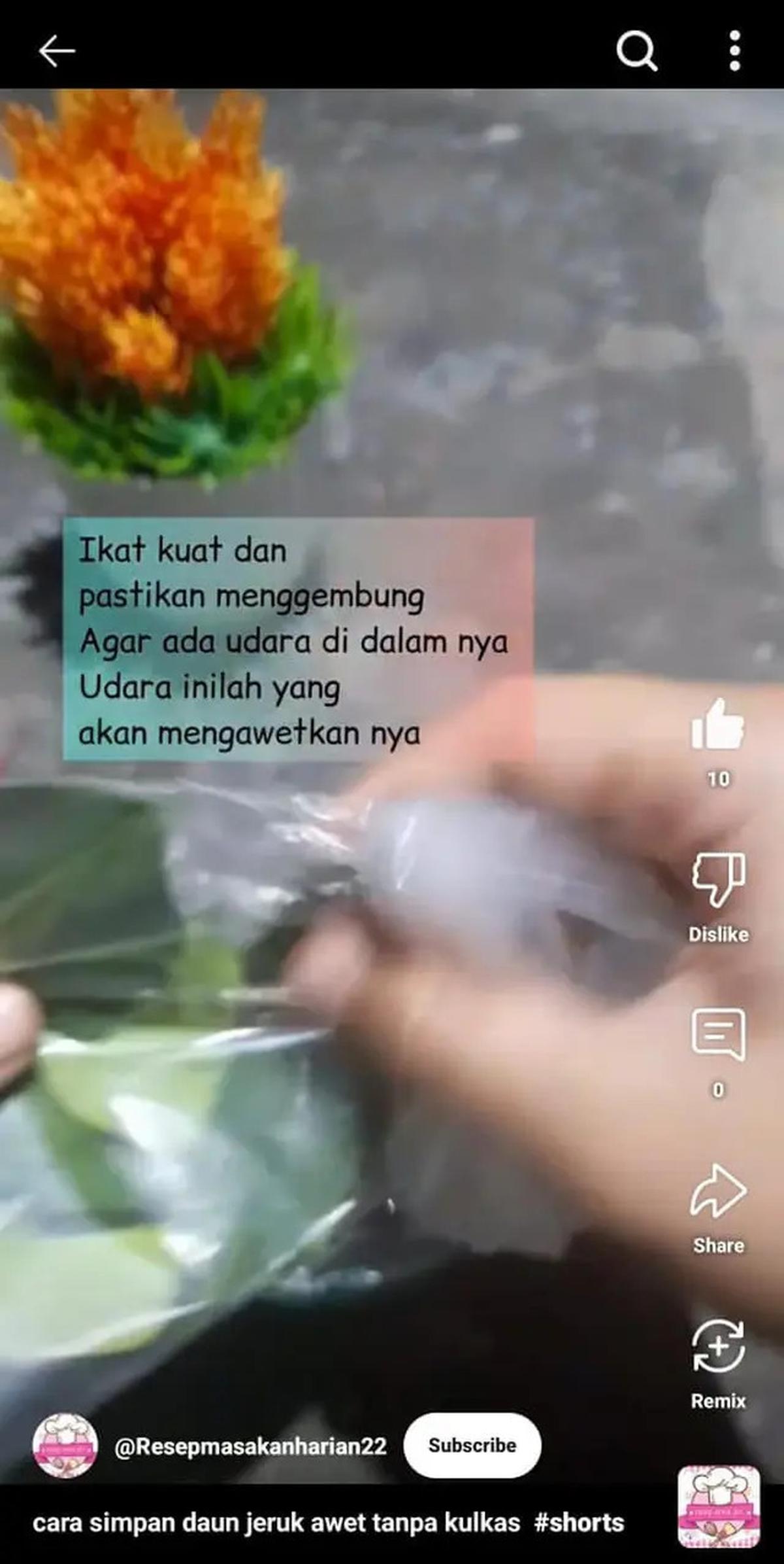 Cara Menyimpan Daun Jeruk agar Tetap Segar hingga Seminggu