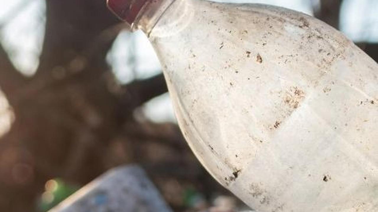 Dampak Membakar Sampah Plastik bagi Lingkungan, Bisa Tingkatkan Pencemaran Udara