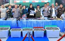 FOTO:  Polda Riau Bongkar Sindikat Perburuan Gajah Sumatera