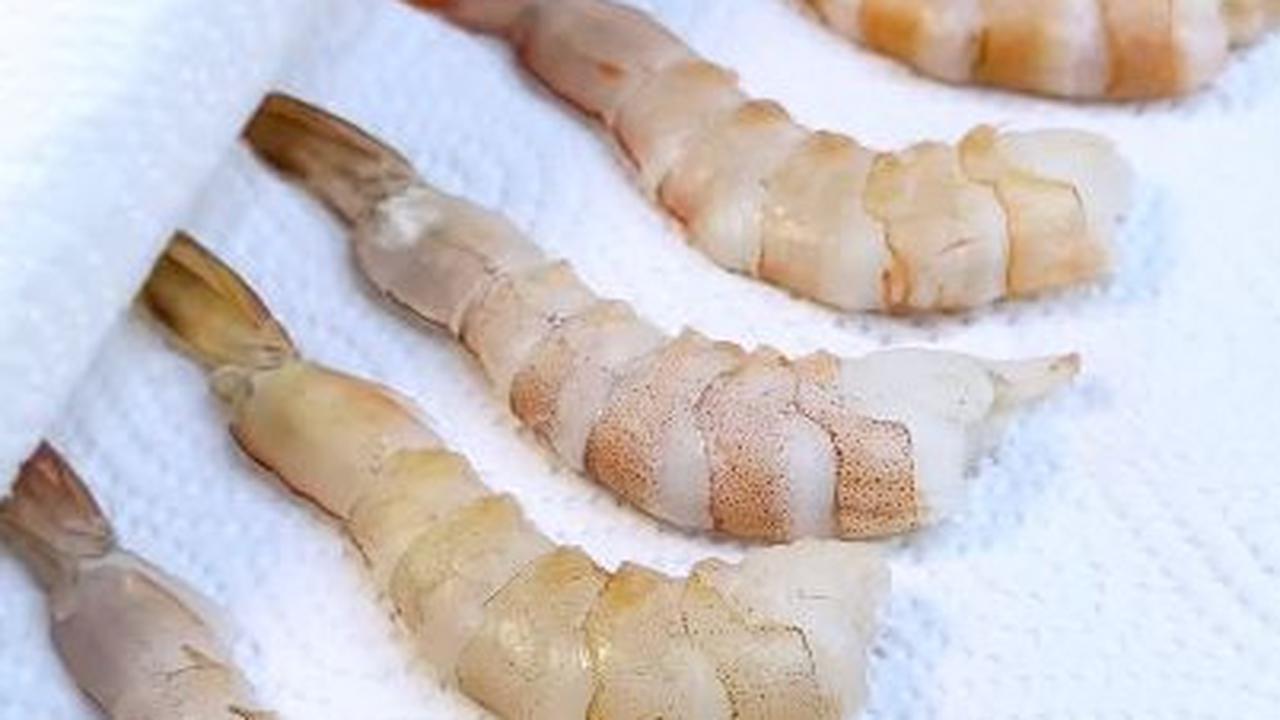 Udang Indonesia Digugat Amerika Serikat, Begini Hasilnya