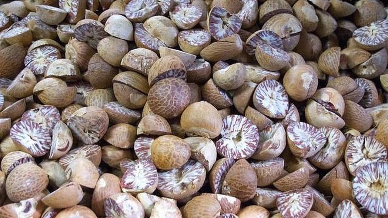 3.&nbsp;Buah Pala
