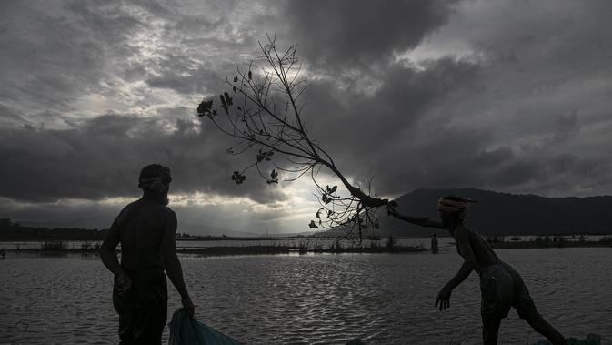 Seorang nelayan India melempar dahan pohon ke air untuk menarik ikan saat mereka meletakkan jala ikan mereka saat senja di surutnya air banjir di sawah di pinggiran Gauhati, India, Senin, (14/9/2020). (AP Photo / Anupam Nath)