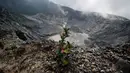 Keindahan alam ini menjadikan Tangkuban Perahu sebagai wisata alam favorit Provinsi Jawa Barat. (Liputan6.com/Johan Tallo)
