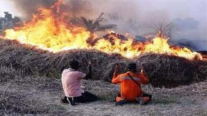 Keluhan Warga Kalimantan: Sejauh Mata Memandang Asap Kebakaran Hutan