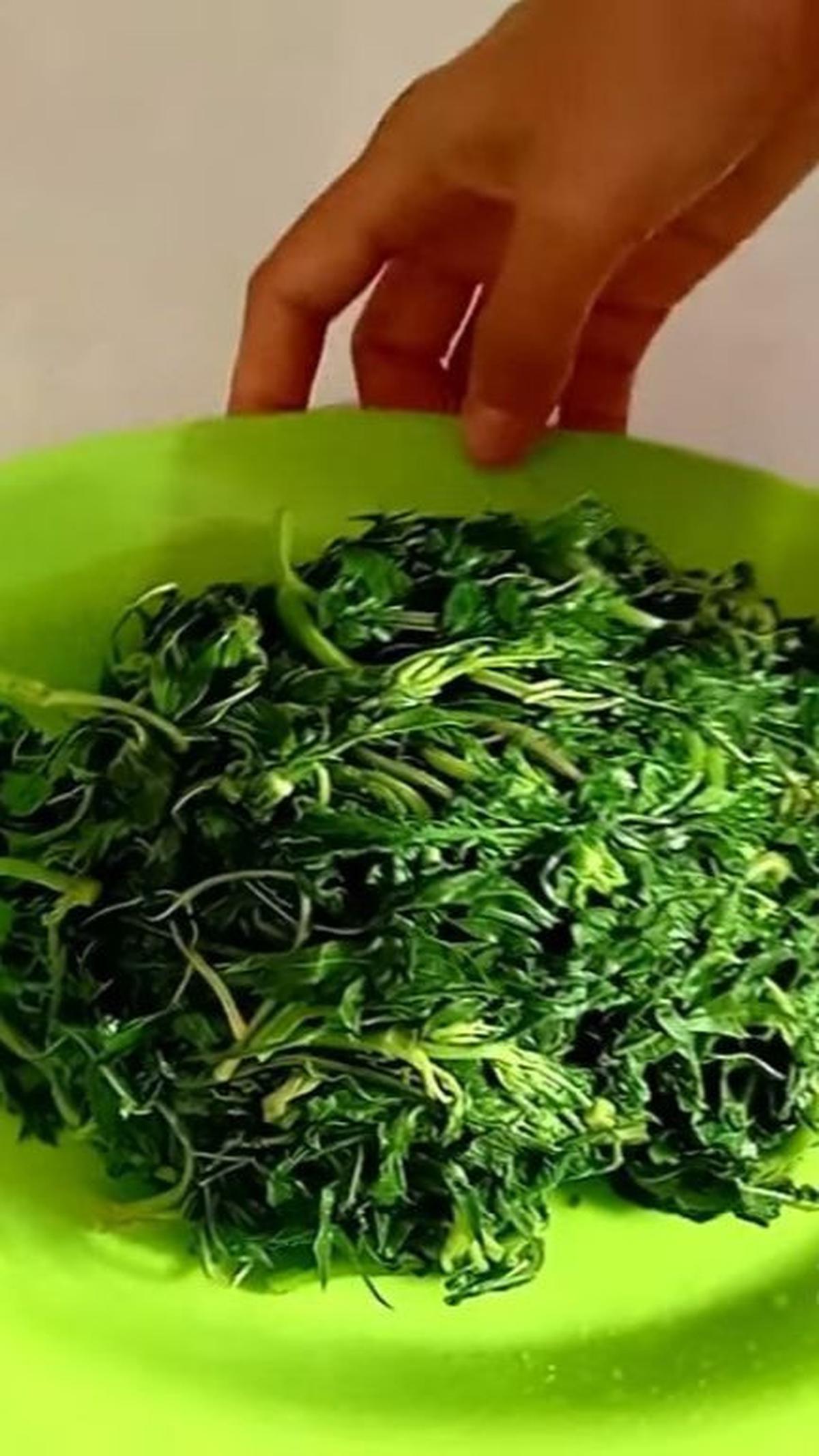 Daun Kenikir Tetap Hijau Segar