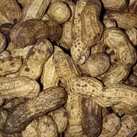 Cara Rebus Kacang Tanah Agar Cepat Empuk Tanpa Presto, Hanya 12 Menit (Instagram/@nand.putri)