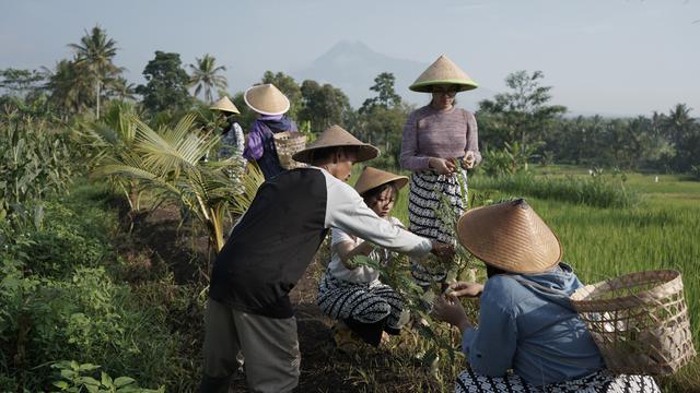 Belajar Mengenal Kesehatan Mental Diri Sendiri di Tengah ...