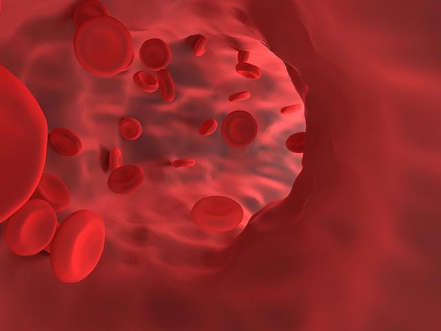 Fungsi Sel Darah Merah Dan Putih Trombosit Serta Plasma Darah Pada Tubuh Hot Liputan6 Com