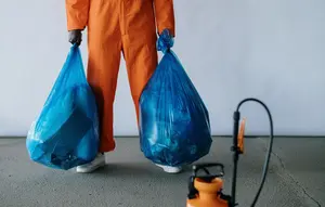 Cara Mencegah Lalat Masuk ke Tempat Sampah, Hindari Hal-Hal yang Mengundangnya