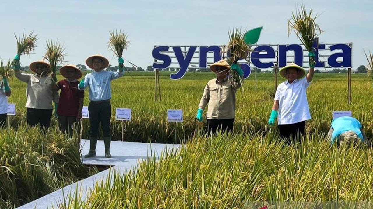 Tahukah Anda? Bappenas Dorong Petani Milenial Gunakan Drone untuk Swasembada Pangan Modern
