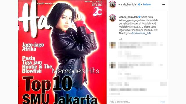 Wanda Hamidah