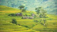 Pertanian di pedesaan Bali. (Bola.com/Pixabay)