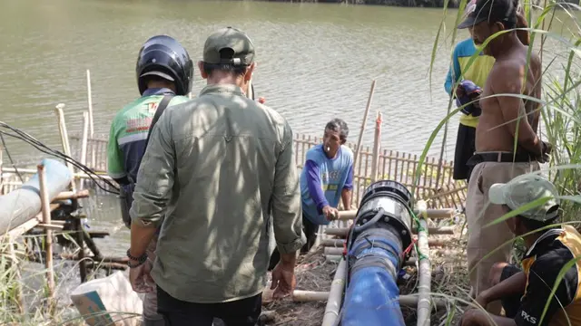 Kementan
