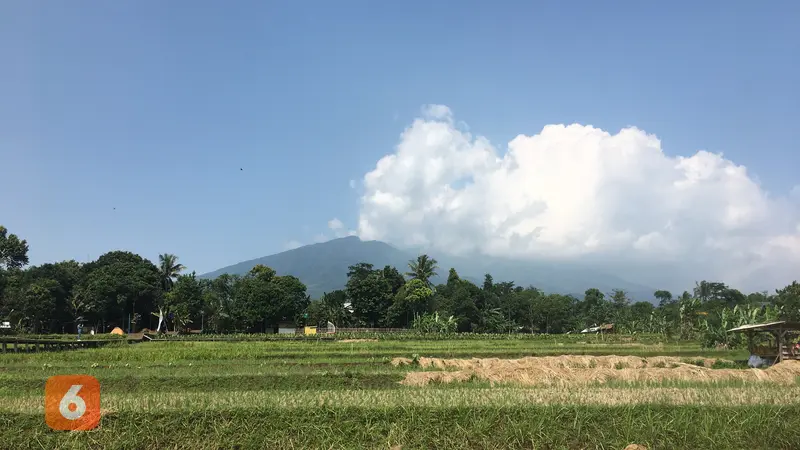 Agro Eduwisata Organik Mulyaharja