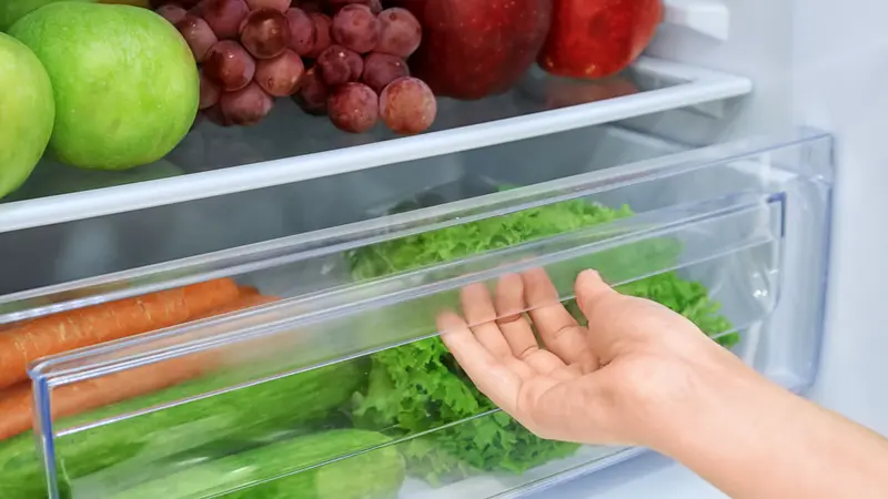 Tips Menyimpan Sayuran di Kulkas agar Lebih Awet dan Terjaga Kesegarannya