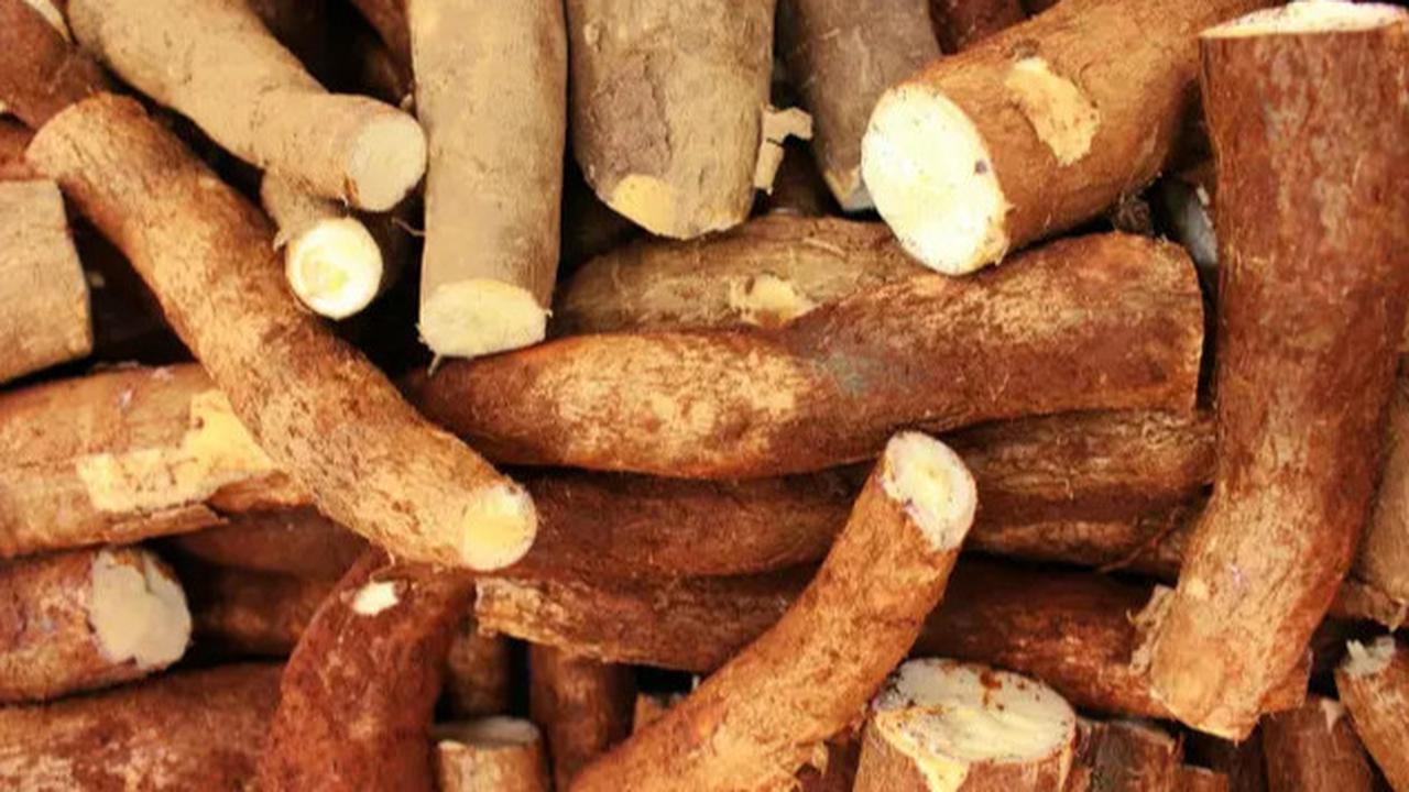Rahasia Singkong Goreng Renyah dan Empuk yang Jarang Diketahui