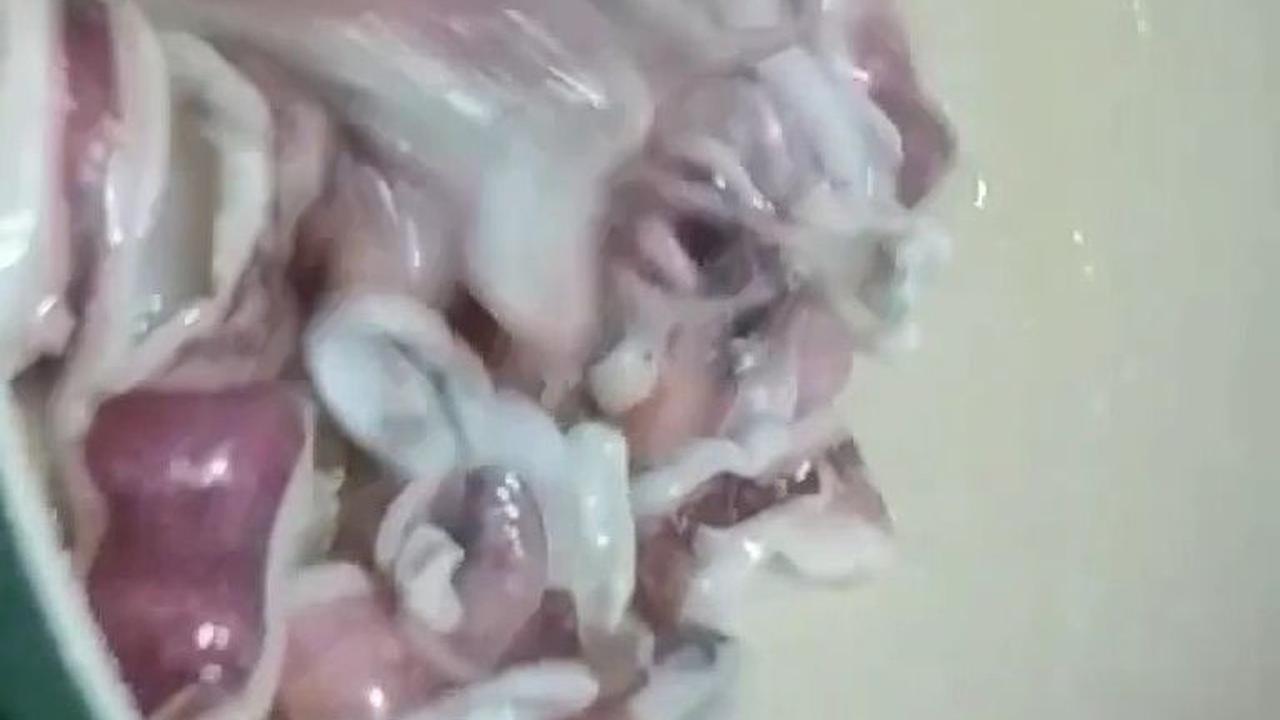 Goreng Cumi Selama 5 Menit