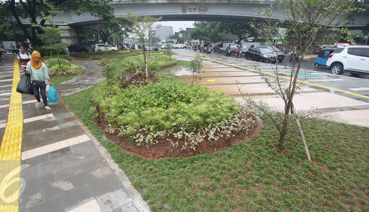 Sebidang taman hijau terlihat di trotoar kawasan Tanah Abang, Jakarta, Senin (21/11). Meskipun belum sepenuhnya selesai, namun trotoar yang dulu dipenuhi PKL tersebut kini telah berubah menjadi bersih dan asri. (Liputan6.com/Immanuel Antonius)