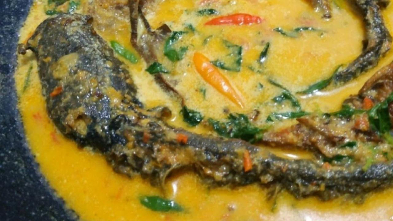 Lele Kuah Santan