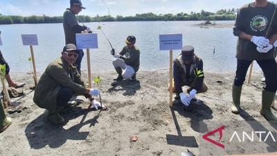 Pemerintah Aceh Bersama Industri Migas dan LSM Tanam 1.000 Mangrove, Perkuat Lingkungan Pesisir