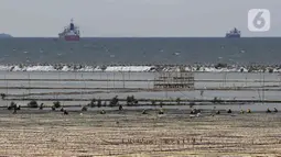 Aktivitas pekerja di tanah milik PT Pelabuhan Indonesia (Persero) atau Pelindo yang akan digunakan sebagai lokasi relokasi Depo Pertamina Plumpang terletak di NPCT 2, Koja, Jakarta Utara, Selasa (7/3/2023). Tanah seluas 23 hektare ini akan menjadi lokasi relokasi Depo Pertamina Plumpang yang direncanakan selesai Desember 2024. (Liputan6.com/Herman Zakharia)
